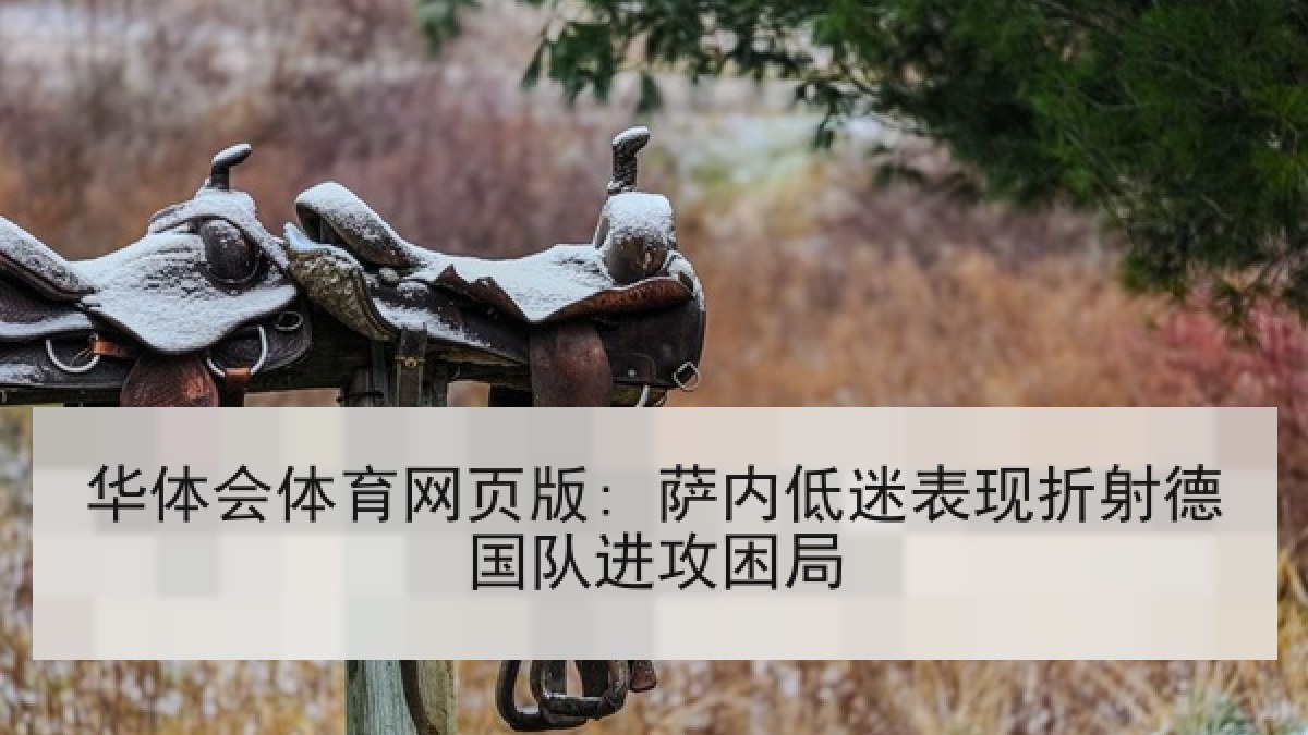 华体会体育网页版: 萨内低迷表现折射德国队进攻困局 华体会体育网页版: 萨内低迷表现折射德国队进攻困局