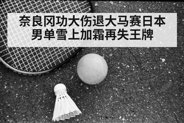badminton racket on court