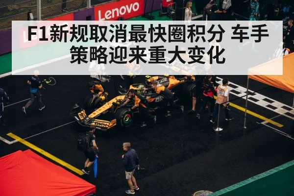 F1 pit stop strategy