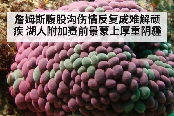 詹姆斯腹股沟伤情反复成难解顽疾 湖人附加赛前景蒙上厚重阴霾